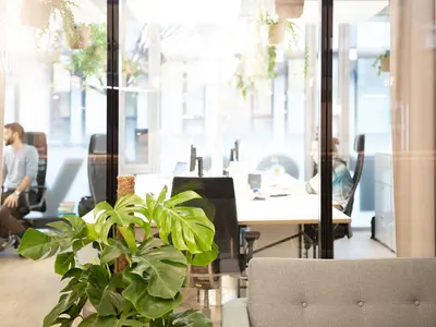 Doppelverglaste Glastrennwand zwischen offenem Arbeitsbereich und Aufenthaltszone der FE Agentur in Baden.