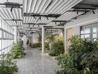 Mieterausbau Holcim Campus in Zug: Üppig bepflanzte Grüninseln formen eine biophile Innenlandschaft und verbinden die offene Erschliessungszone auf natürliche Weise mit der Architektur.
