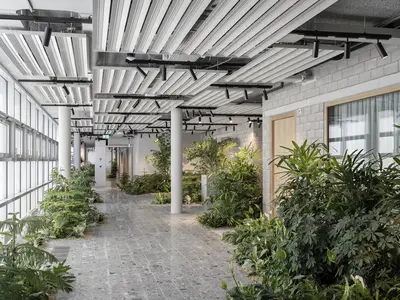 Mieterausbau Holcim Campus in Zug: Üppig bepflanzte Grüninseln formen eine biophile Innenlandschaft und verbinden die offene Erschliessungszone auf natürliche Weise mit der Architektur.